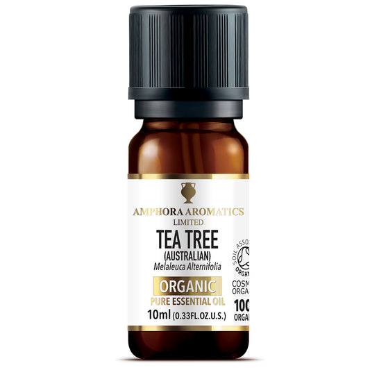 Te tré ilmkjarnaolía 10 ml. Lífræn  Amphora Aromatics