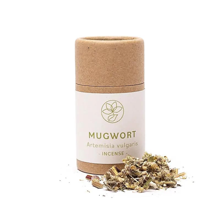 Mugwort - ilmjurt fyrir kol