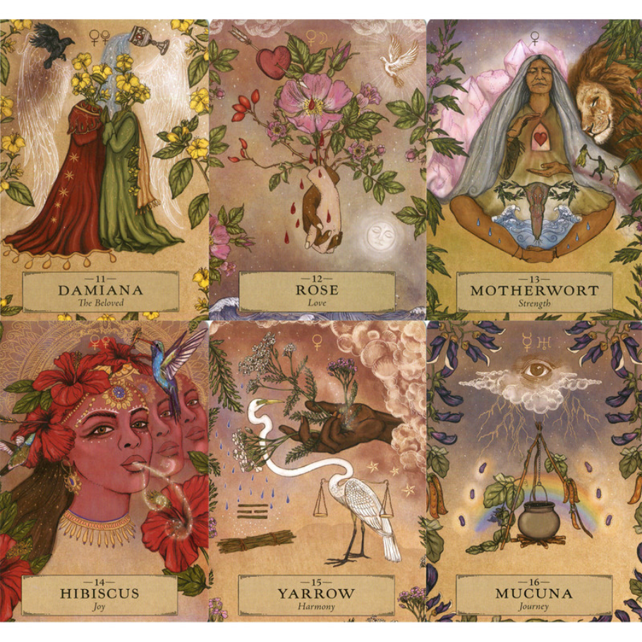 The Herbal Astrology leiðsagnarspil