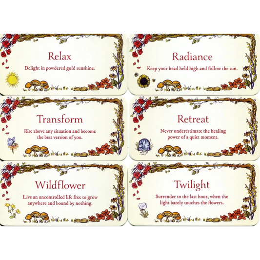 Secret Garden Mini Cards - Jessica Le