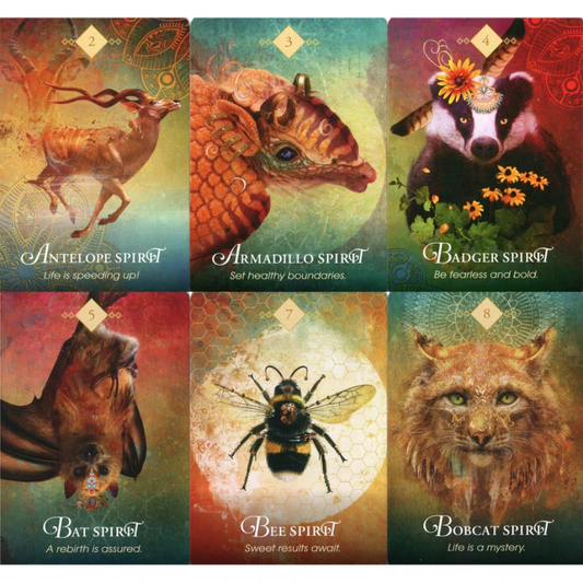 The Spirit Animal leiðsagnarspil - Colette Baron-Reid