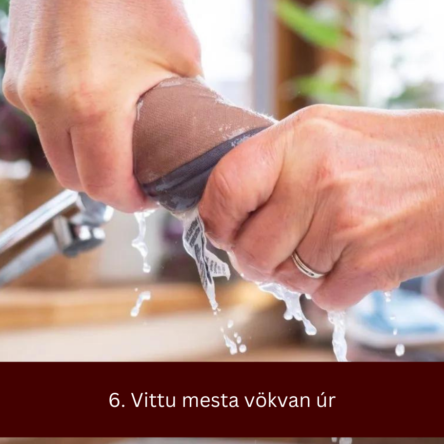 Blautþurrkusett. Terra Gaia