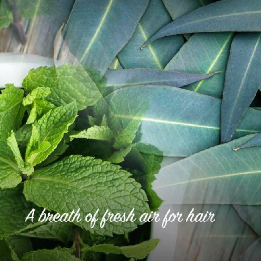 Hárnæring piparmintu og eucalyptus - Friendly