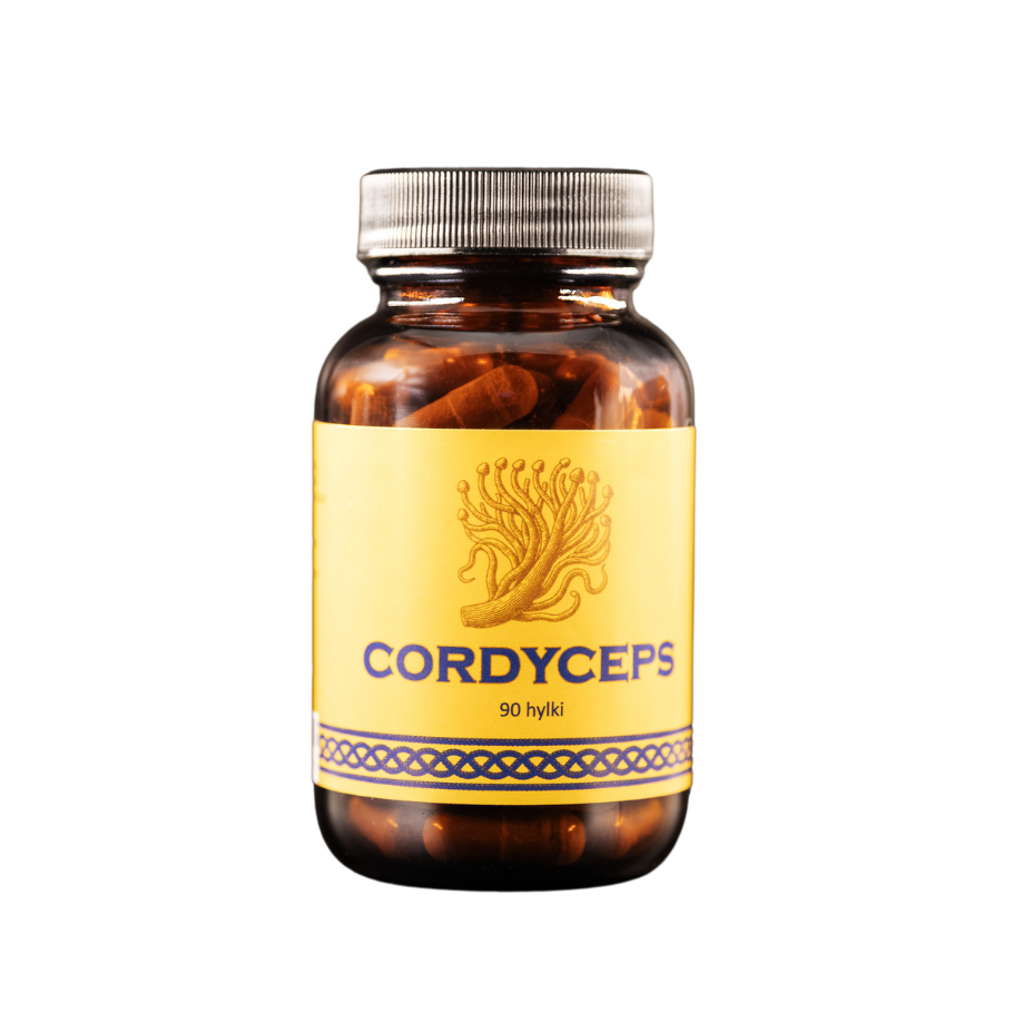 Cordyceps sveppur, 90 hylki - Ingling