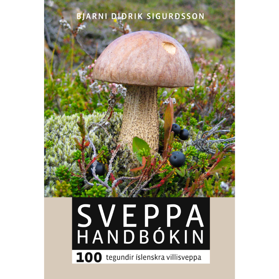 Sveppahandbókin