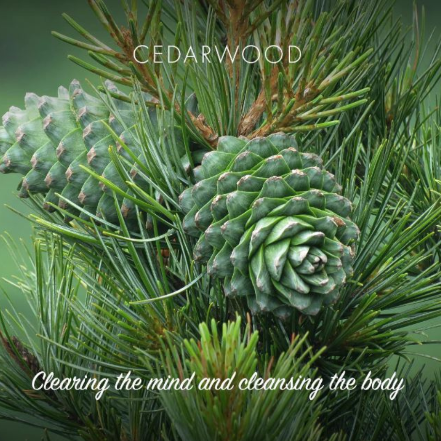 Sedrusviðar sápa. Friendly