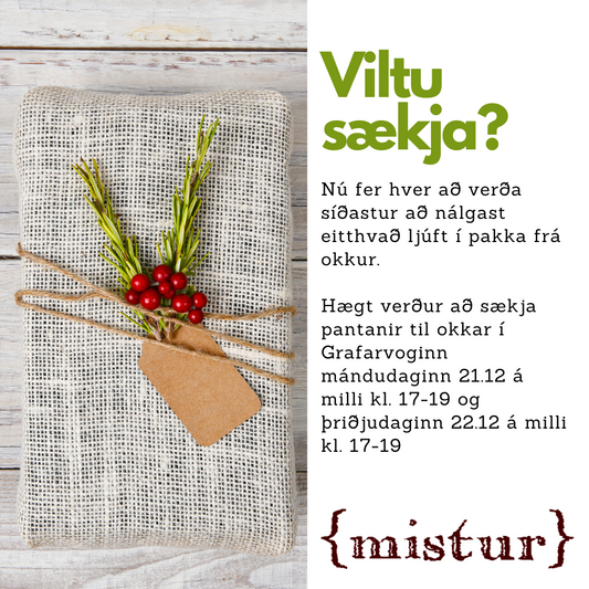 Viltu sækja fyrir jól?