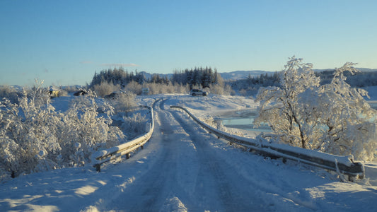 Gleðilegt ár