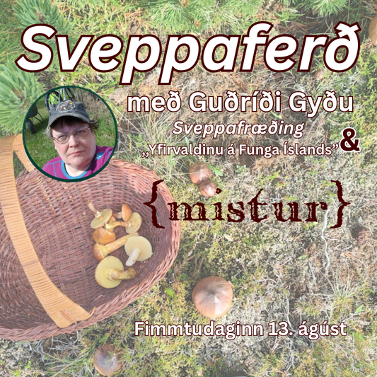 Sveppaferð Misturs og Guðríðar Gyðu sveppafræðings