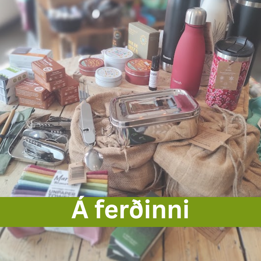 Á ferðinni