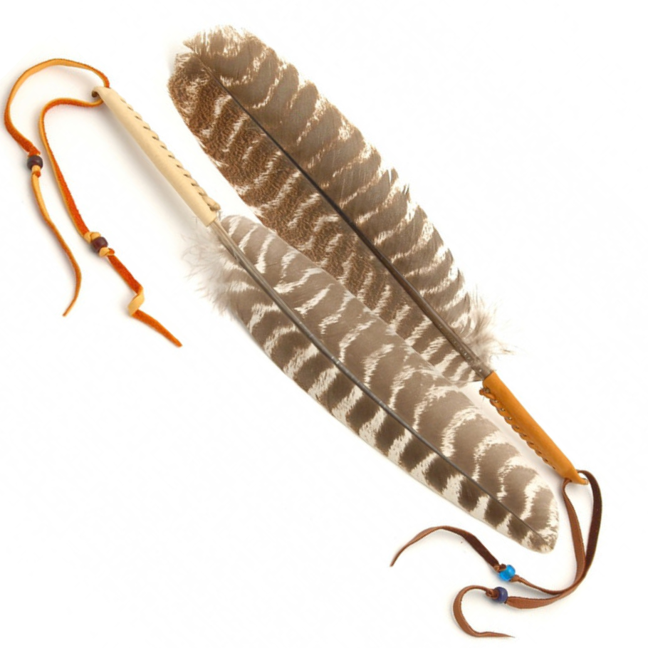 Stór fjöður af kalkún