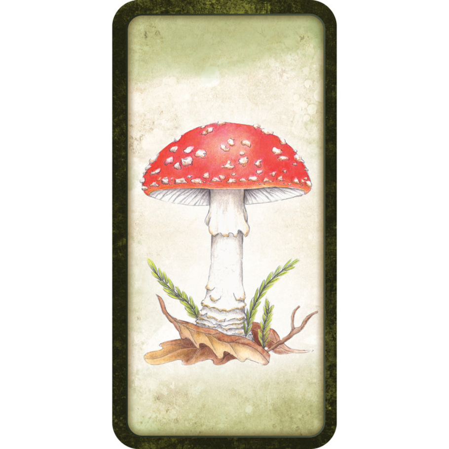 Mushroom affirmations Mini cards - Nicola McIntosh