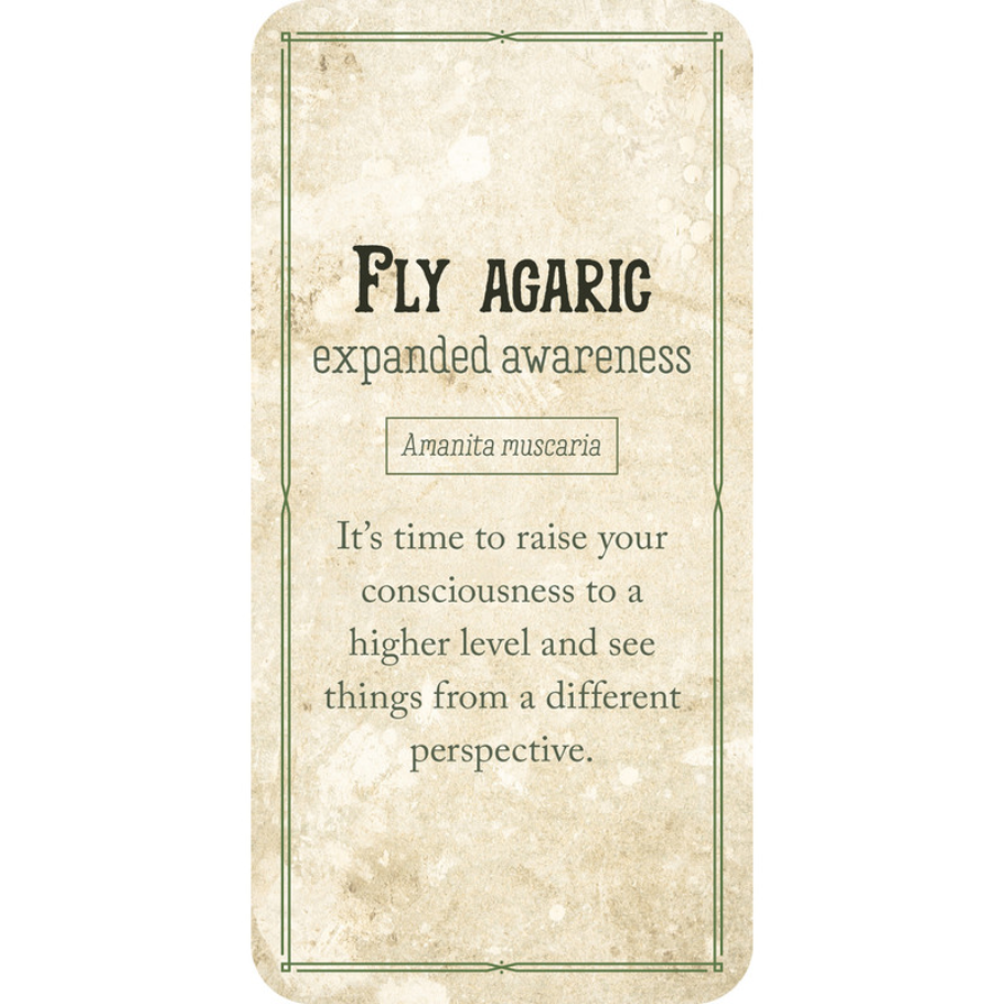 Mushroom affirmations Mini cards - Nicola McIntosh