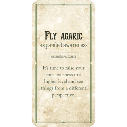 Mushroom affirmations Mini cards - Nicola McIntosh