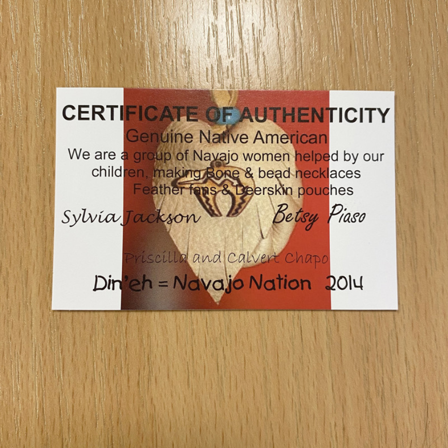 Stór fjöður af kalkún