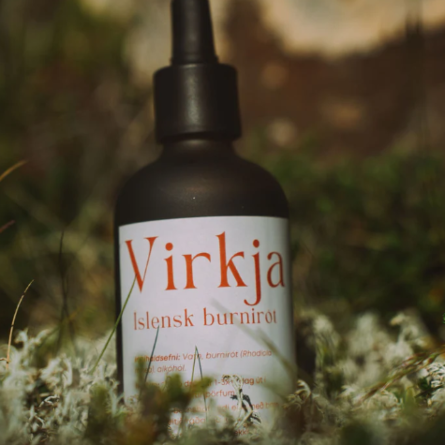 Virkja, tinktúra úr íslenskri burnirót, 50 ml - Undrajurtir