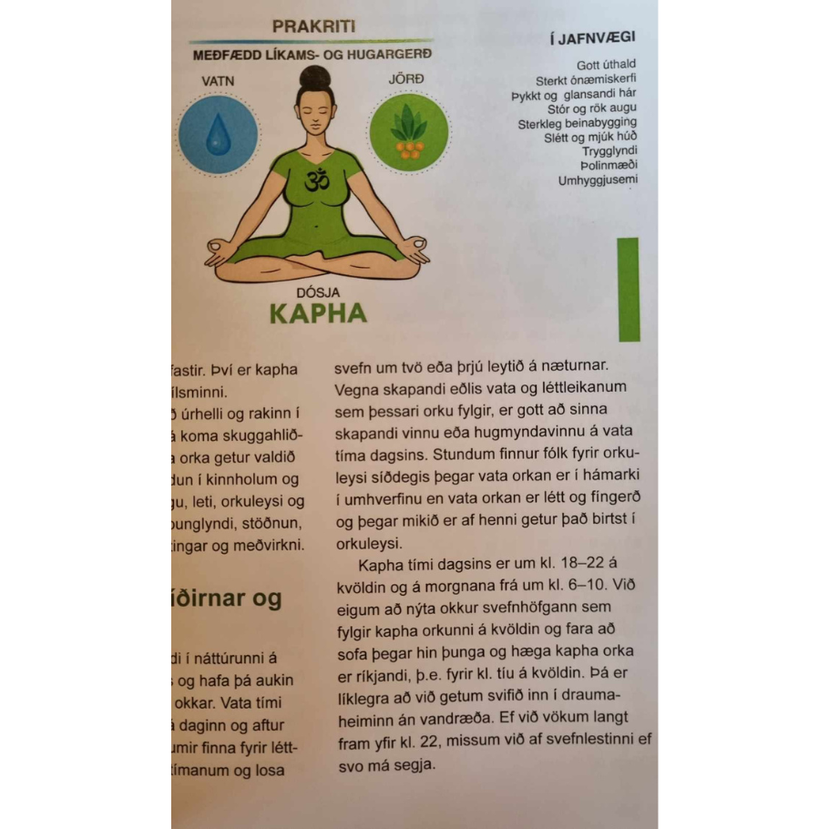 Ayurveda, listin að halda jafnvægi í óstöðugri veröld - bók