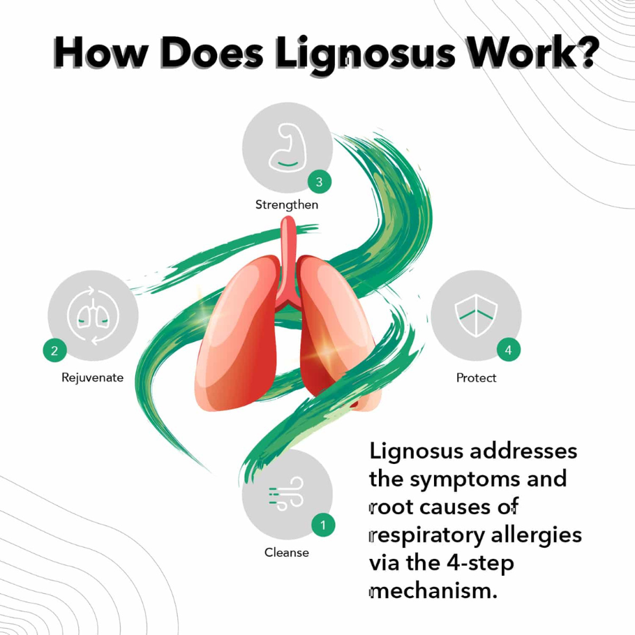 Lignosus 30 x 1,5g - fyrir lungun