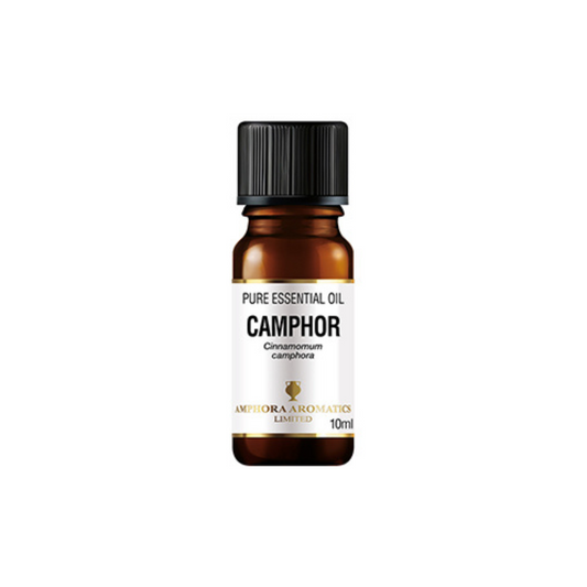 Kamfóra ilmkjarnaolía, 10 ml Amphora Aromatics