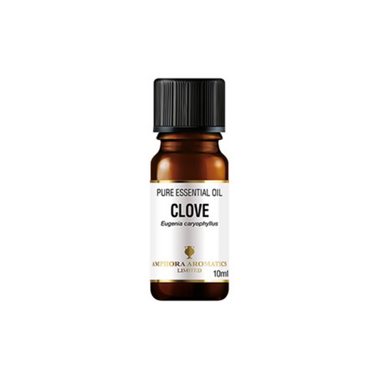 Negul ilmkjarnaolía (Clove bud), 10 ml - Amphora Aromatics