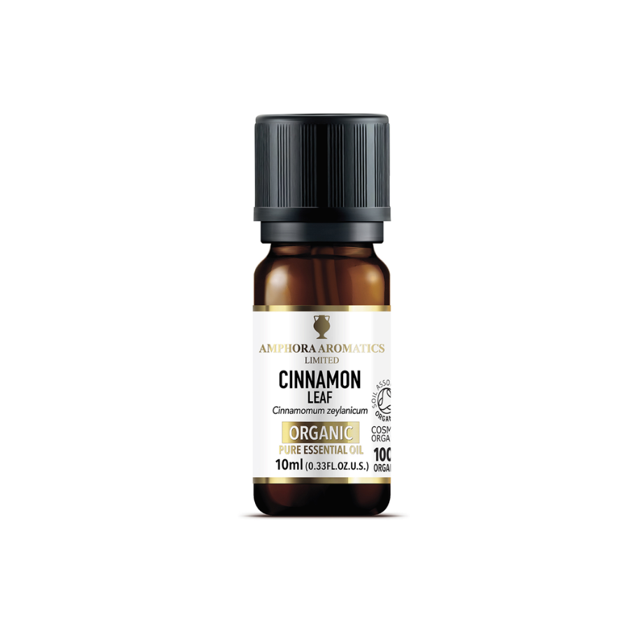 Kanil ilmkjarnaolía, lífræn 10 ml - Amphora Aromatics