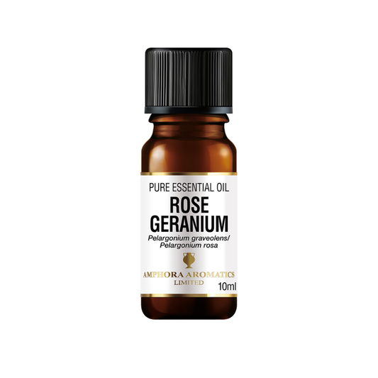 Rose Geranium ilmkjarnaolía, 10 ml - Amphora Aromatics