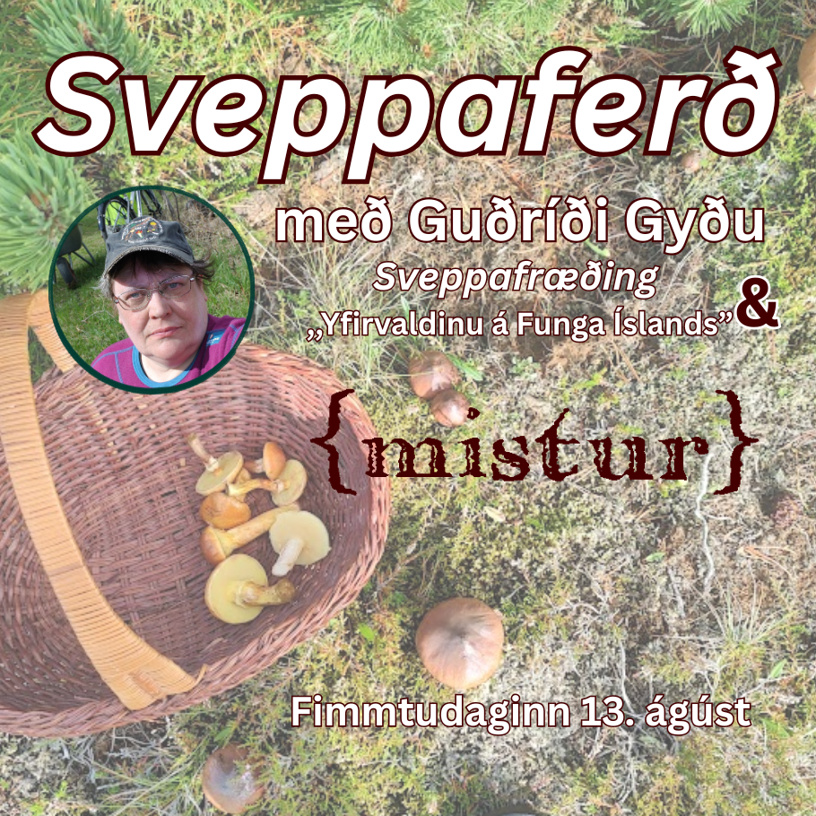 Sveppaferð